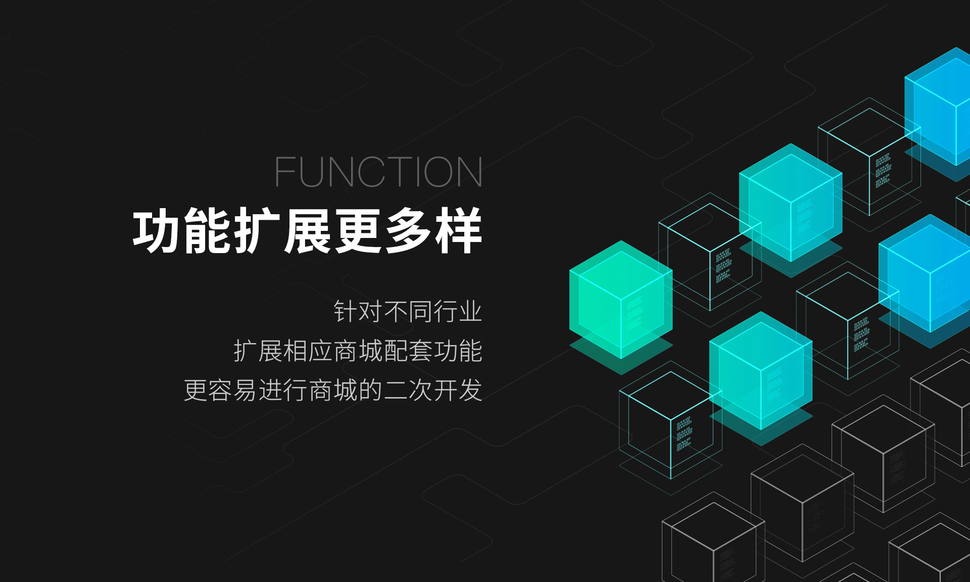功能擴展更多樣